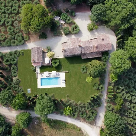 San Vicenzo By Mmega * Calzolaro