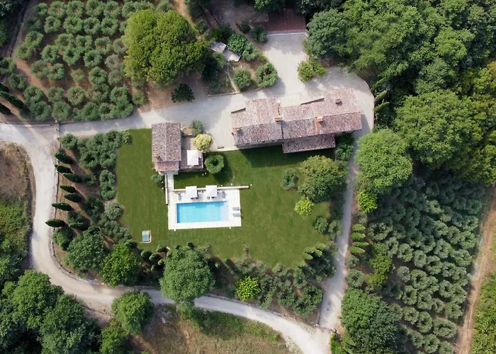 San Vicenzo By Mmega * Calzolaro